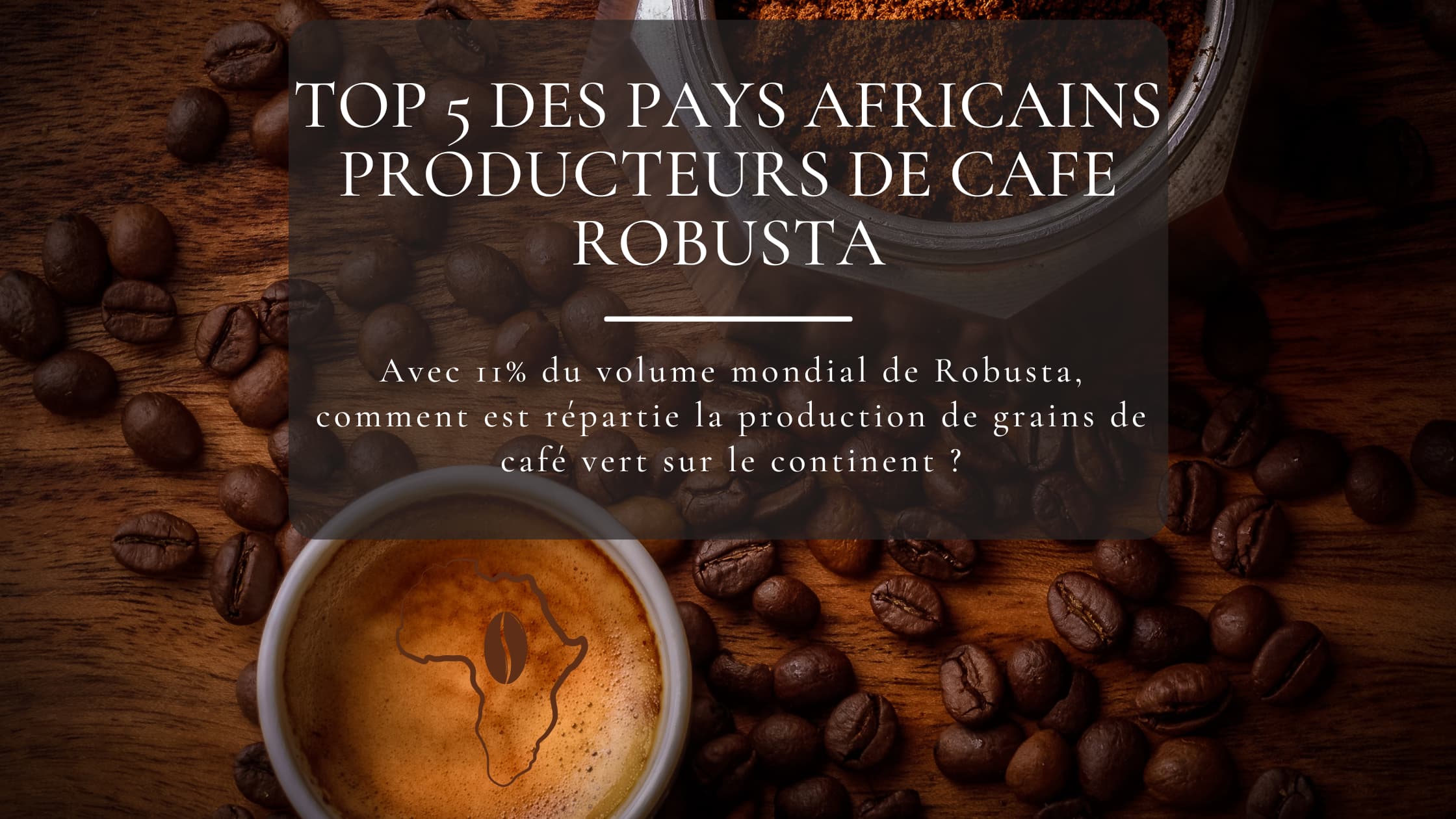 Tout savoir sur le café du Cameroun