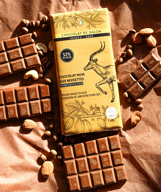 Dark chocolate bar with hazelnuts - (100g) - Origin Ivory Coast