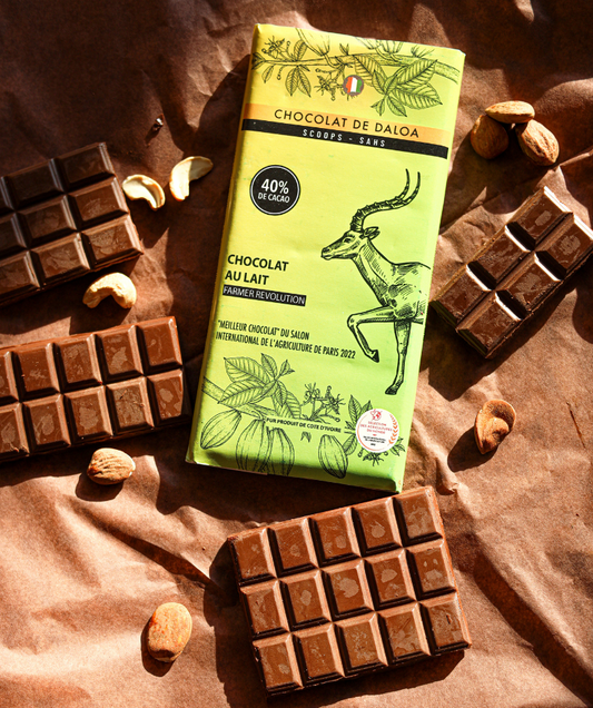 Milk chocolate bar - (100g) - Origin Ivory Coast